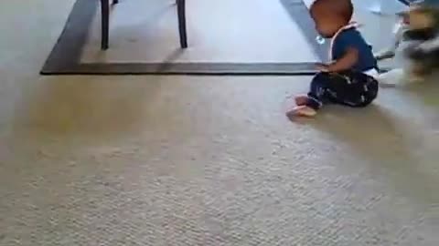 😂🐶 The Cutest Baby and Dog Duo Ever! | FunFM