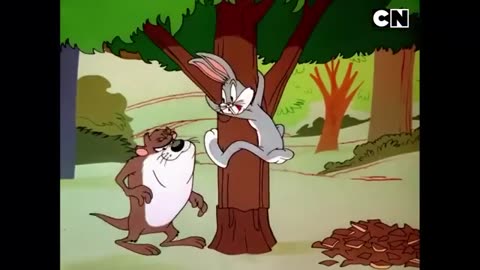 Tom and Jerry