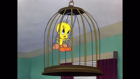 Tweety & Sylvester Compilation 31 minutes