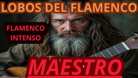 Maestro (Flamenco)