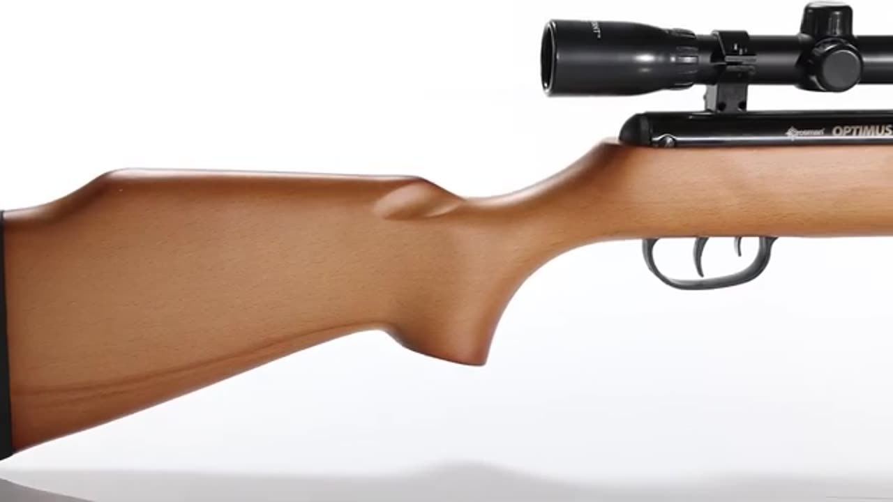 Five Best Air Rifles For Pest Control