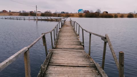 Raining video// nature video for relaxation