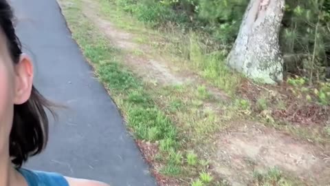 😂🐶 Dog's Hardest Decision Ever! | FunFM