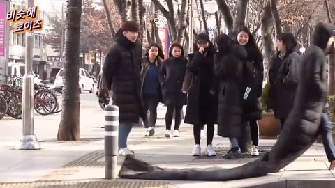 Best Korean Pranks That Got Me Rollin