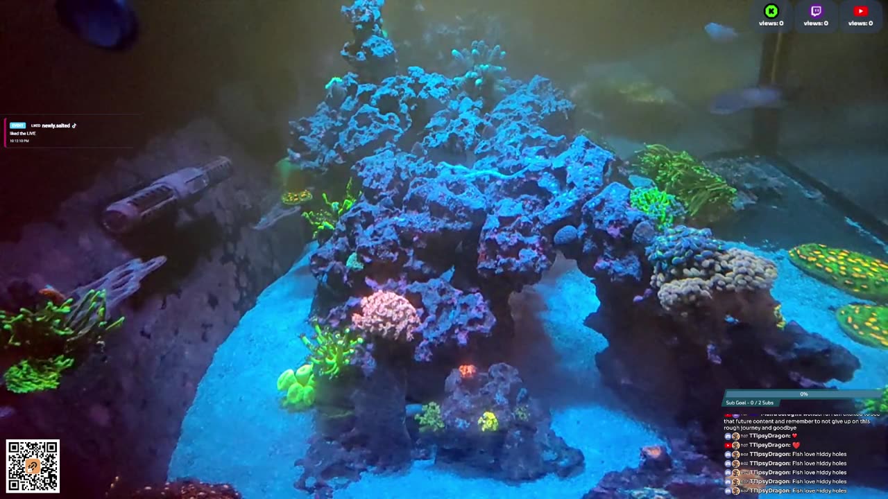 24/7 Real Live Reef Stream