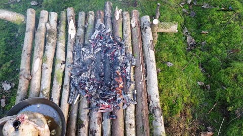 🔥Whole Chicken Prepared in the Forest🔥 Relaxing Cuisine