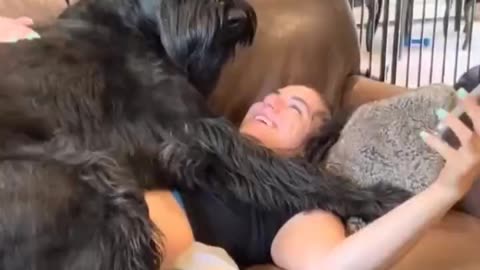 Wow, incredible puppy! He is having so much fun with his owner. It's so