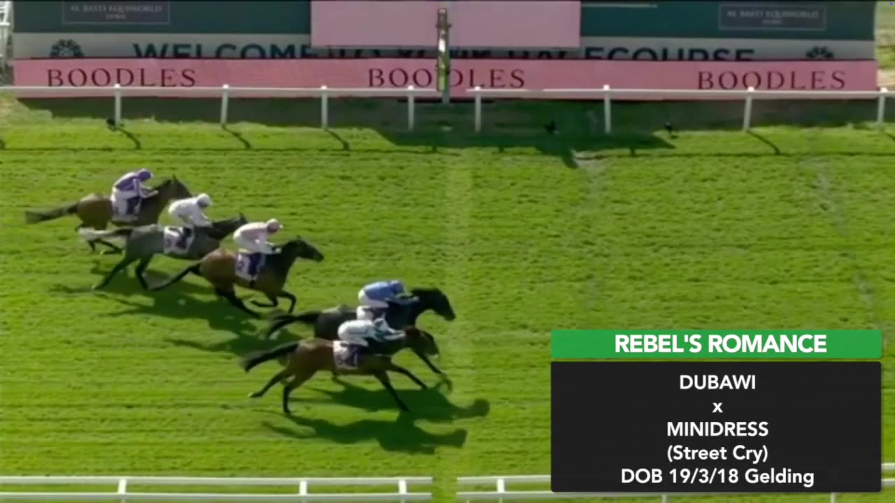 2025 Yorkshire Cup | Rebel’s Romance, Continuous, Epic Poet