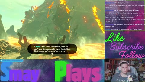🗡️🏹Zelda: Breath of the Wild Play Through (Part 24)🏹🗡️