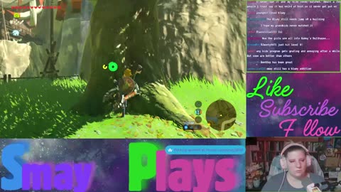 🗡️🏹Zelda: Breath of the Wild Play Through (Part 24)🏹🗡️