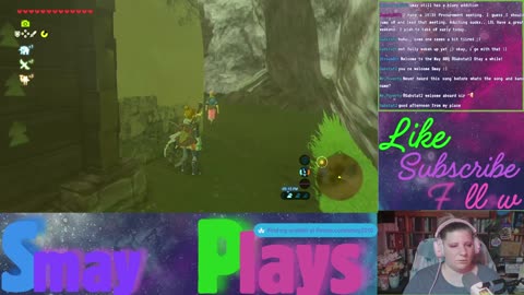 🗡️🏹Zelda: Breath of the Wild Play Through (Part 24)🏹🗡️