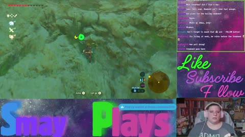 🗡️🏹Zelda: Breath of the Wild Play Through (Part 24)🏹🗡️