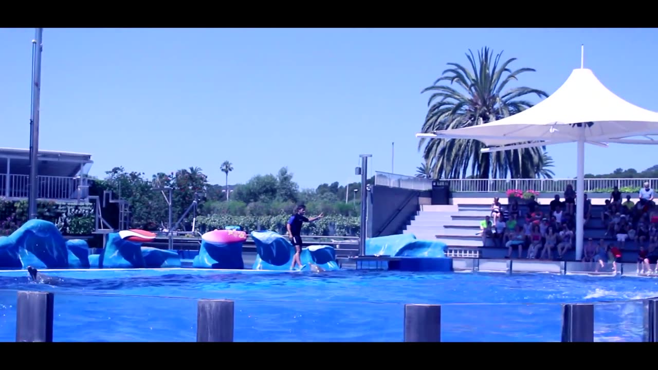 BEST HOLIDAY EVER SPAIN HOLIDAY VLOG PART 2