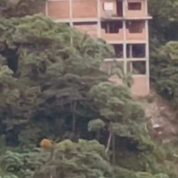 🇧🇴 "COROICO" La SELVA BOLIVIANA 👉 Un PARAISO ❓❓ #2 #shorts