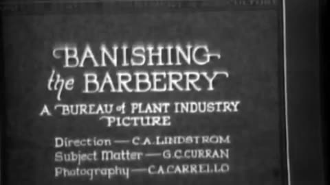 BANISHING THE BARBERRY - BANISHING THE BARBERRY - 33-349-r1