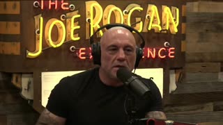 Elon: Make Phones, Not Wars - Rep Anna Paulina Luna and Joe Rogan #technology #taxincentives