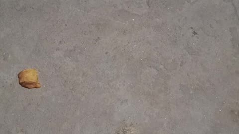 Earth video