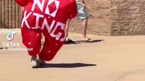 Wokies doing wokie things
