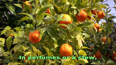 Oranges on the Beat! | Educational Fruit Song for Kids 🍊 | Lyrics + Animated Sheet Music