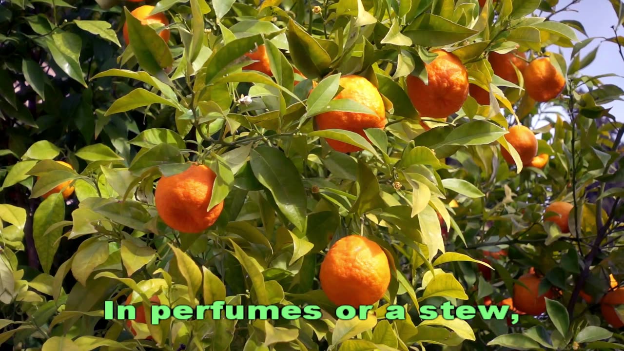 Oranges on the Beat! | Educational Fruit Song for Kids ๐ | Lyrics + Animated Sheet Music