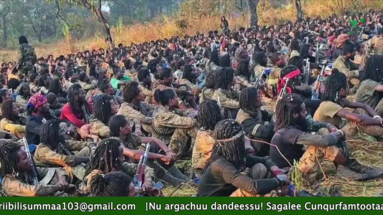 Gabaasa Tarkaanfii ONM-ABO Onkoloolessa 26-2025 itti dhiyaadhaa!