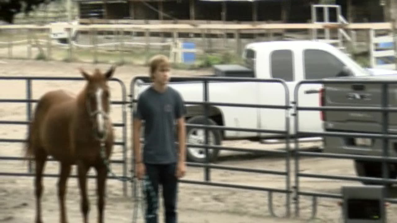 Skipper Calder & Cowboy-up Ministry bring horse training with a message at 11am.