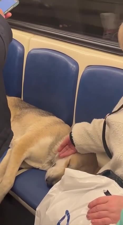 It was a hard day at work