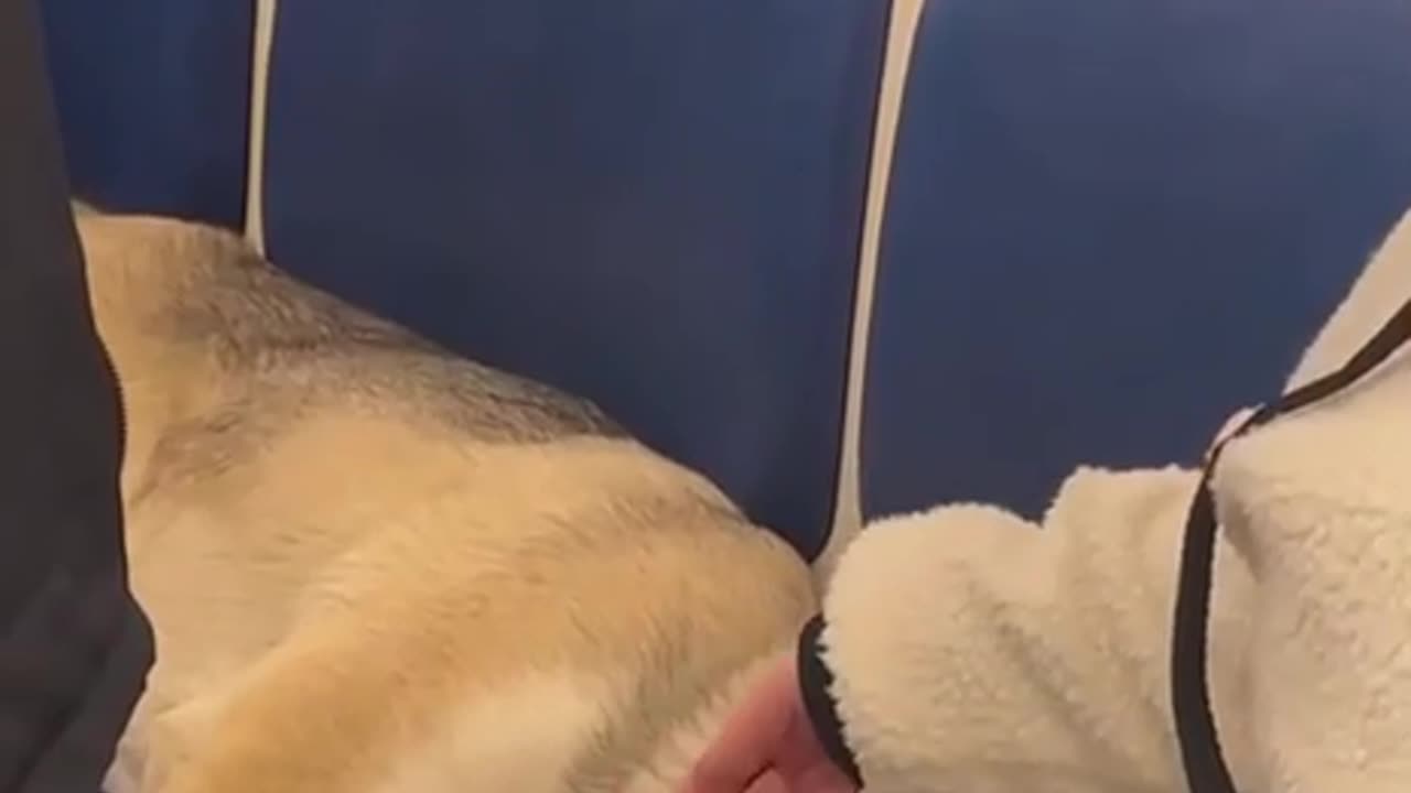 It was a hard day at work