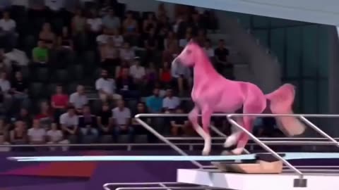 Pool Diving Championship