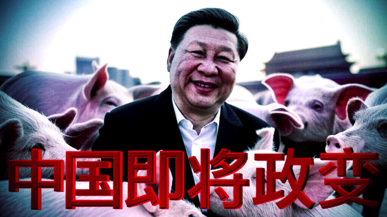 《中国即将政变》（ 2013）China is about to coup