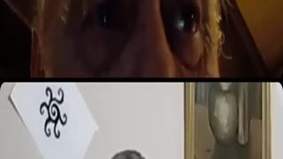 Miran Rubin sa Viktor Jagarinec - 11:11 - 28.11.2025. u 17:36h