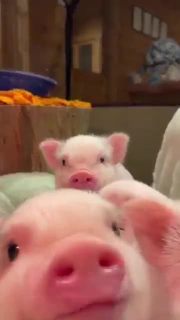 If you need a smile.. 😊