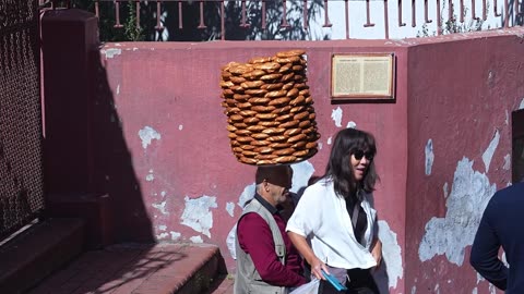 Excado Yolo Rainy Mood Mix