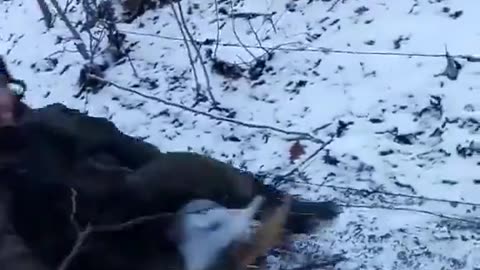 I Can't Believe That Just Happened(Russian Soldier On Sled Hits a Mine