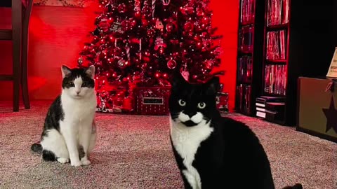 Christmas through the years