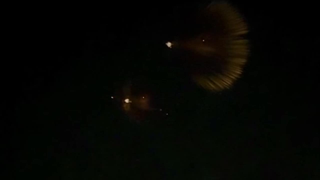 Footage of the exoatmospheric interception of Iranian ballistic