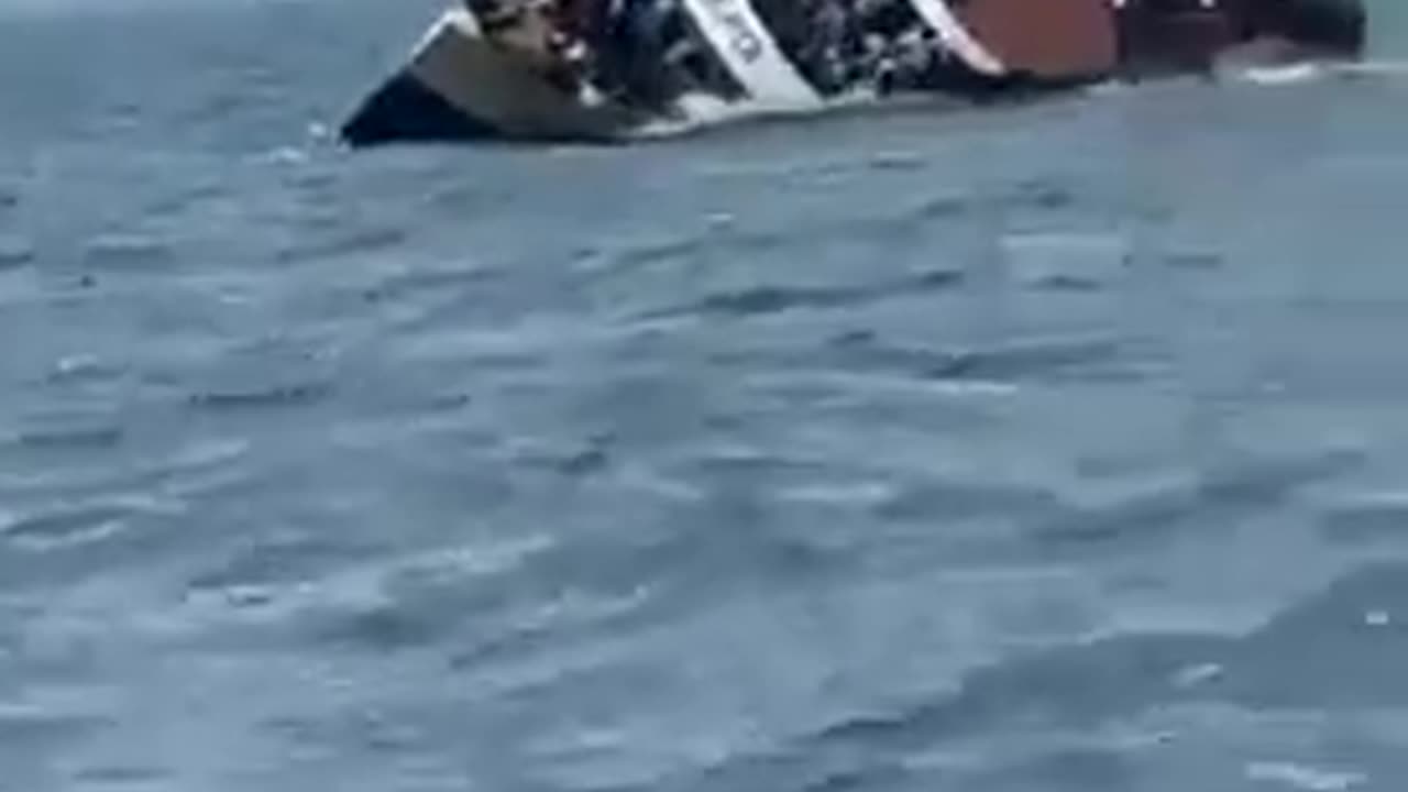 Chum the water for sharks