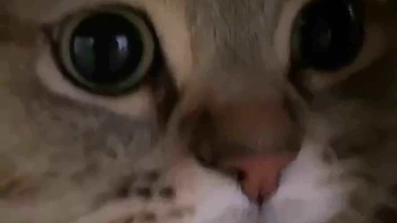 im melting