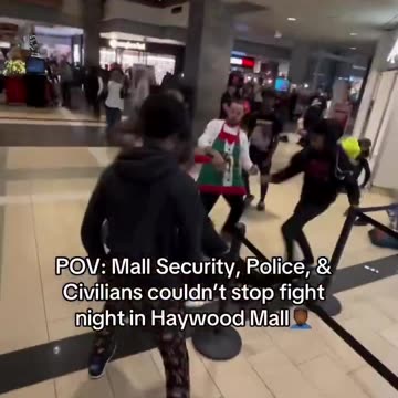 Blacks Are Why Malls Are Dying