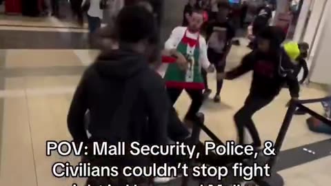 Blacks Are Why Malls Are Dying