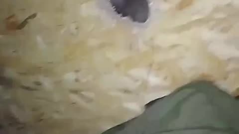 Ukraine war combat footage/related 1/10/26