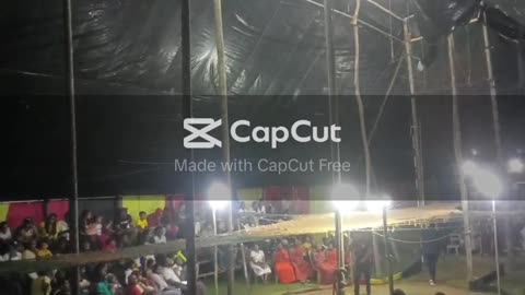 circus pasipiya