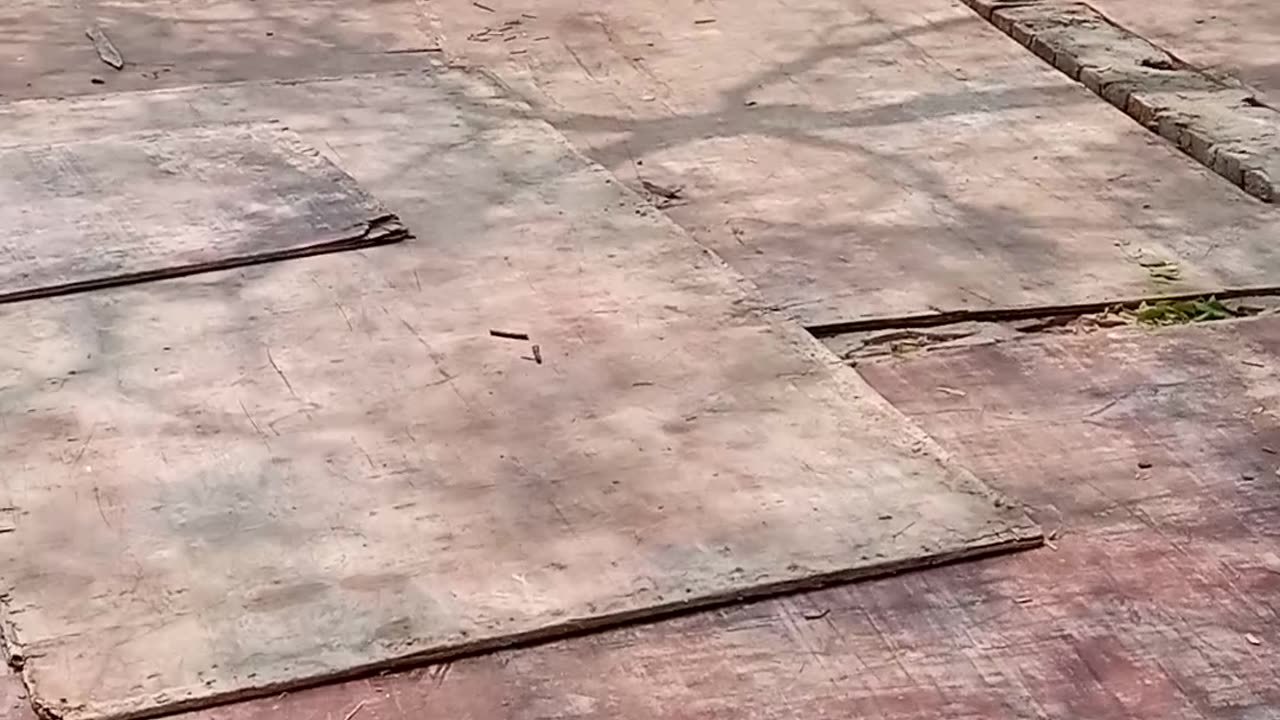 Wait end watch