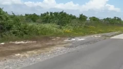 HWY 14