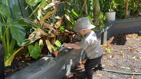My Little One's Joyful Garden Quest: See Him Tenderly Nurture Greenery!