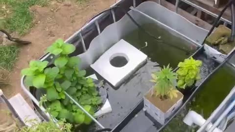Food gardening