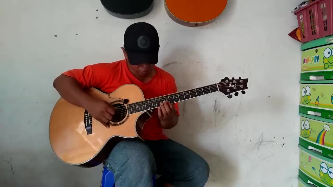 Lily" Cover – Alan Walker (Fingerprint Version)