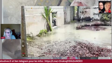 ApéroLiveLove avec Vous les Zzz'Amis 12.11.25 Les Zzz'Infos Bonheur de Leelou