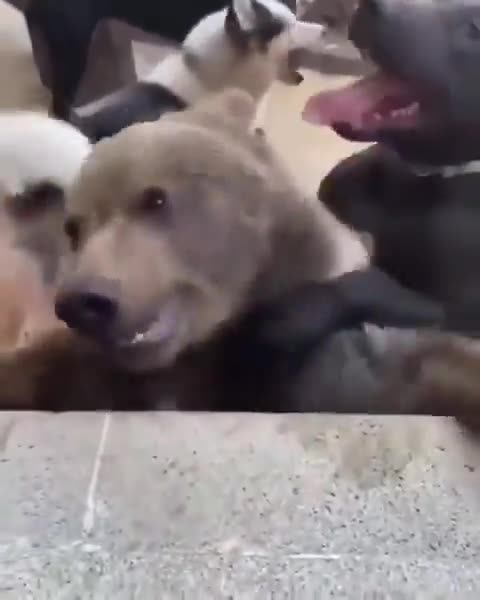 Nobody’s gonna know..