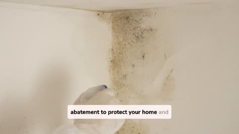 Why Reliable Mold Removing